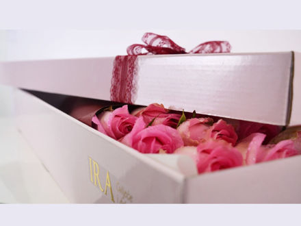 Flower box - ruže u boji 02