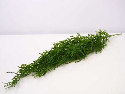 Slika Grana zelenila 73 cm