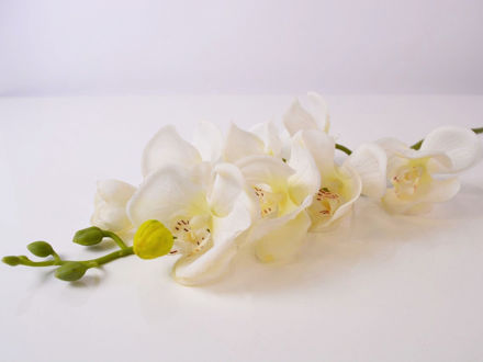 Umjetna bijela orhideja 78 cm