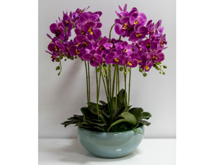Orhideja u posudi 80 cm
