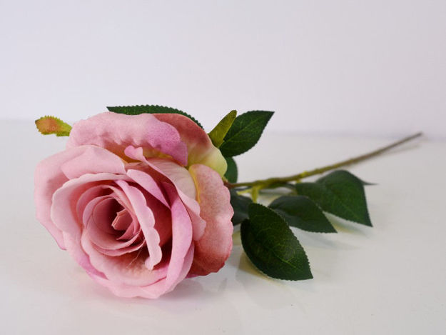 Slika Ruža 65 cm