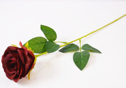 Slika Ruža 63 cm