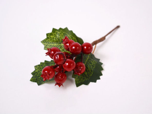 Slika Pik berry 21 cm