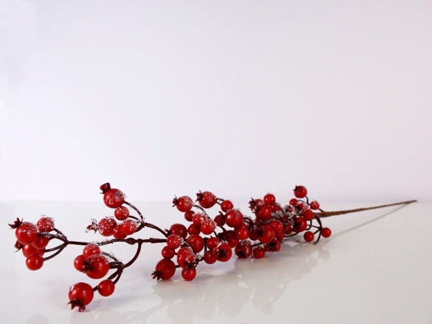 Slika Grana berry 70 cm