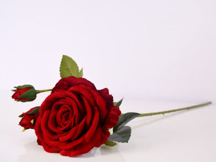 Slika Ruža 78 cm