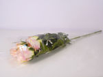Slika Ruža u celofanu 70 cm
