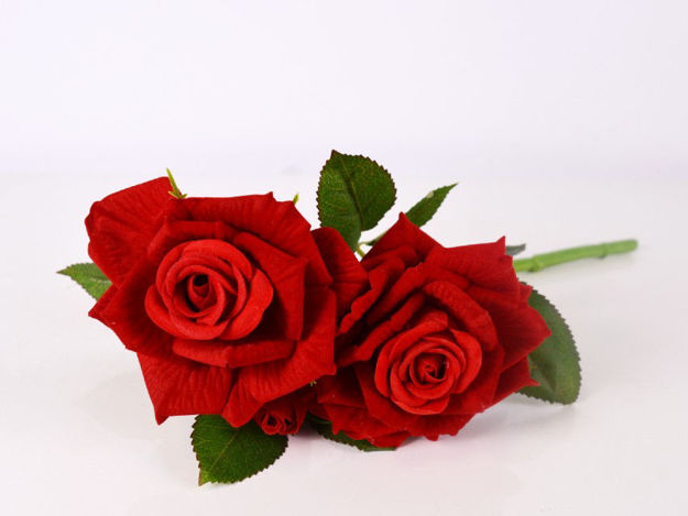 Slika Ruža 36 cm