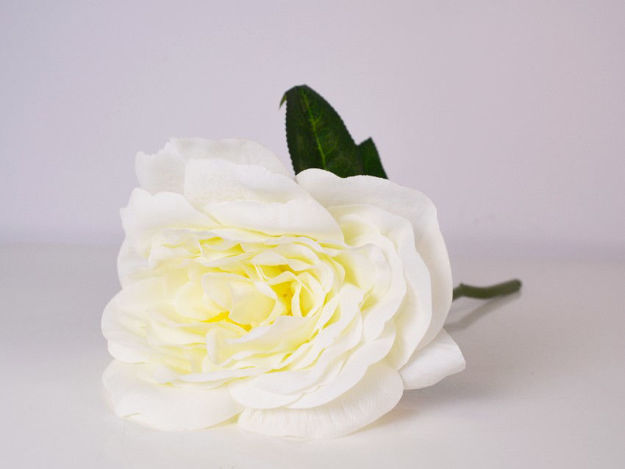 Slika Ruža 30 cm