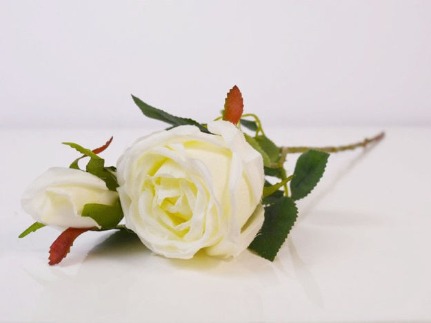 Slika Ruža 46 cm