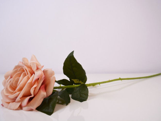 Slika Ruža 74 cm