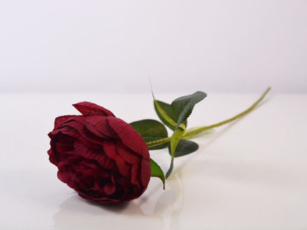 Slika Ruža 54 cm