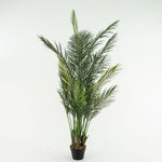 Slika Umjetno drvo palma 160 cm