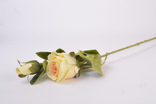 Slika Grana ruže s pupom 68 cm, 2 glave, krem