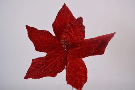 Slika Božićna zvijezda 50 cm