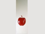 Slika Panel jabuka 45 cm x150 cm