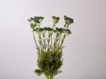 Slika Buket poljsko cvijeće 38 cm