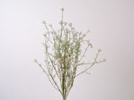 Slika Poljsko cvijeće 49 cm