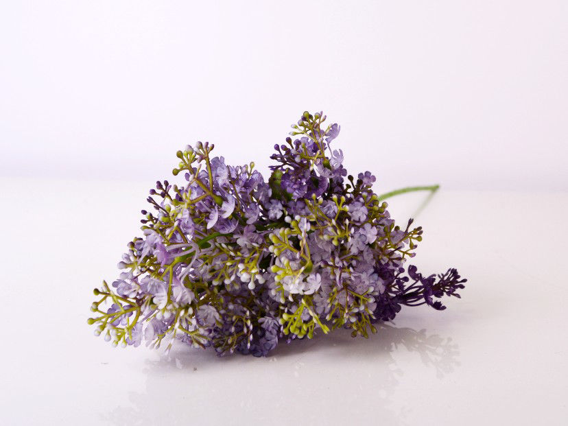 Lavanda