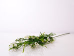 Slika Poljsko cvijeće 63 cm