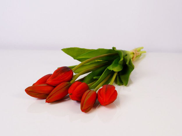 Slika Buket tulipana 40 cm