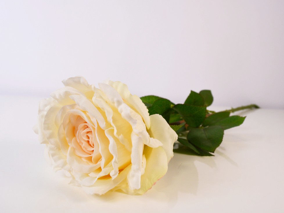 Bijela/Svijetlo roza