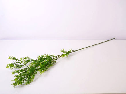 Slika Grana zelenila 70 cm