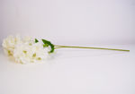 Slika Cvijet 65 cm