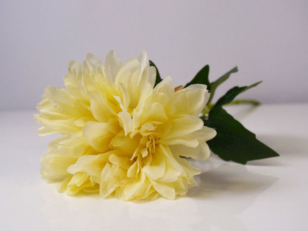 Slika Cvijet 70 cm