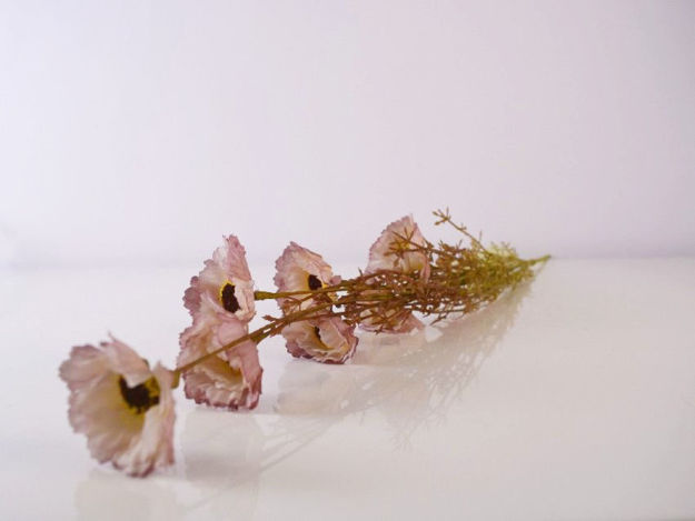 Slika Poljsko cvijeće 60 cm