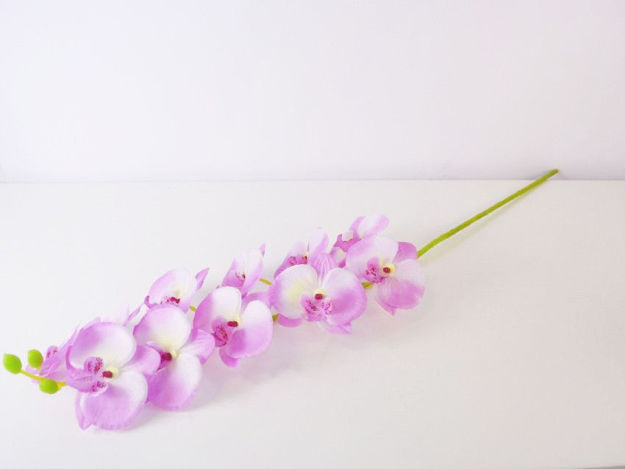 Slika Orhideja 80 cm