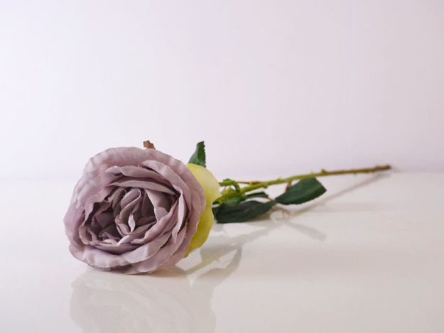 Slika Ruža 55 cm