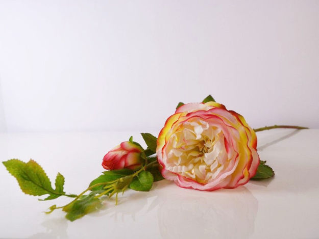 Slika Ruža 85 cm