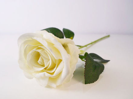 Slika Ruža 52 cm