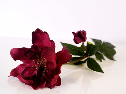 Slika Cvijet 60 cm