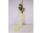 Slika Wisteria 60 cm