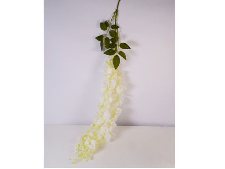 Slika Wisteria 60 cm