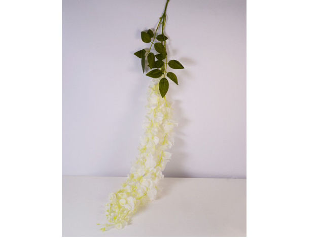 Slika Wisteria 60 cm