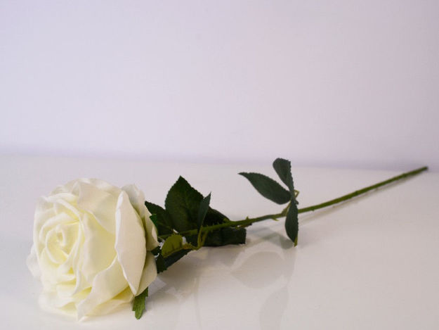 Slika Ruža 70 cm