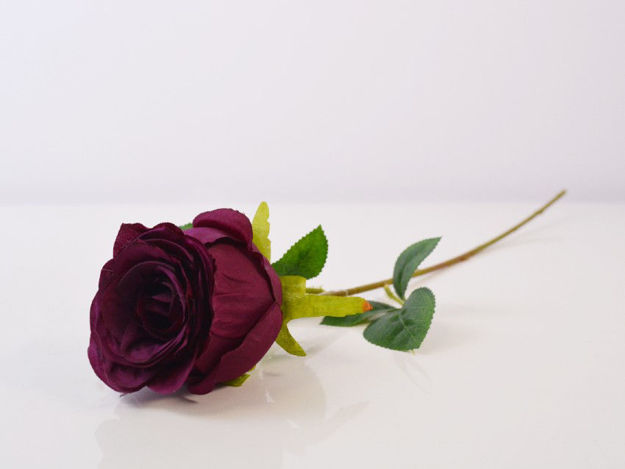 Slika Ruža 48 cm