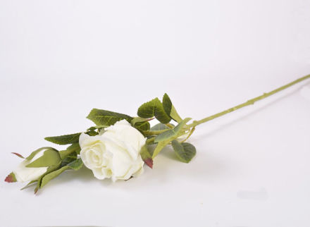 Slika Grana ruže s pupom 68 cm 2 cvijeta bijela