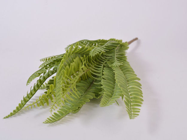 Slika Buket paprat 37 cm, 21 list, zelena