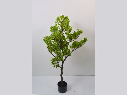 Slika Umjetno drvo pittosporum varicolor 110 cm u loncu,svj.zelena