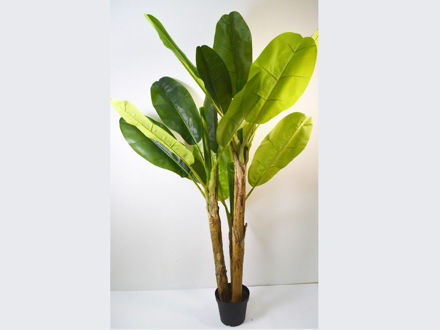 Slika Umjetno drvo banane 200 cm, 18 listova, zelena