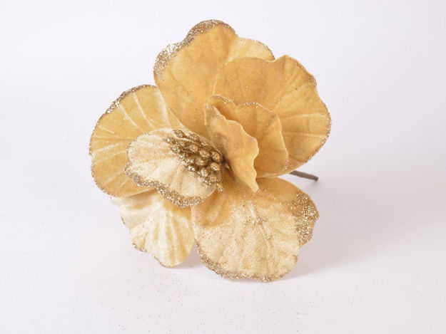 Slika Božićni cvijet pik 21 cm, pliš, krem s zlatnim rubom