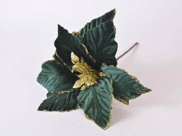Slika Poinsettia pik 27 cm, pliš, tamno zelena s zlatnim rubom