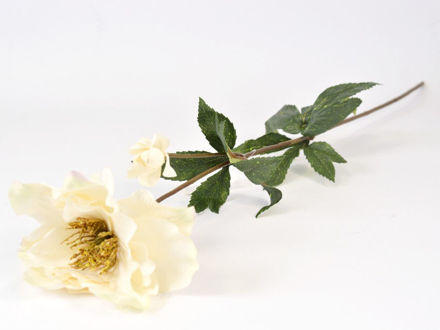 Slika Ruža 60 cm; krem