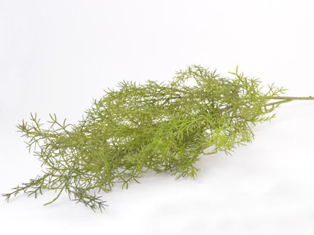 Slika Grana zelenilo 100 cm, zelena