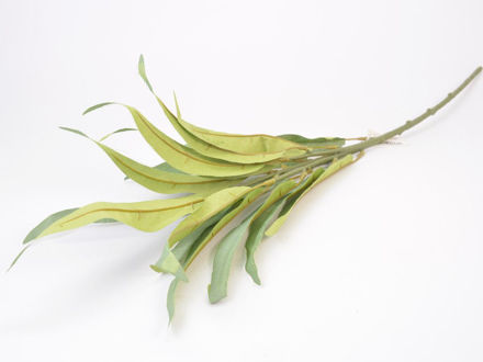 Slika Grana zelenila 56 cm, siva GR942