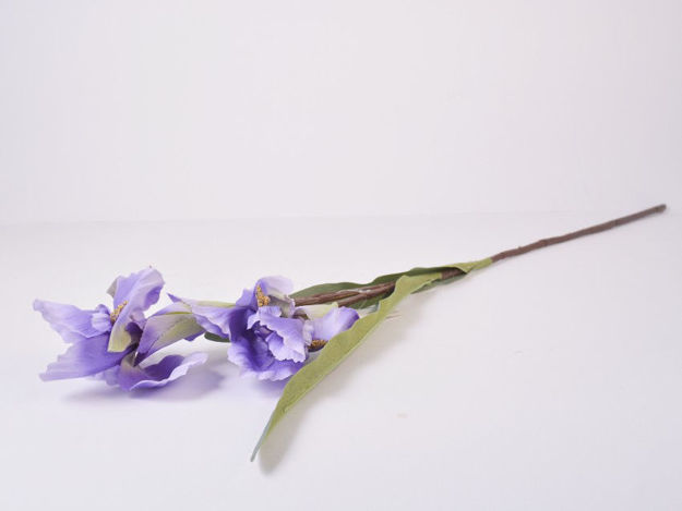 Slika Iris 74 cm; ljubičasta