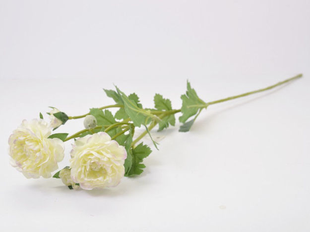Slika Ranonkul 60 cm; 4 cvijeta; krem/roza